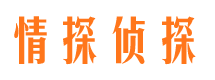 印江市侦探公司